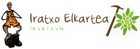 XXXI. SAKANAKO IBILALDIA SUSPENDIDA